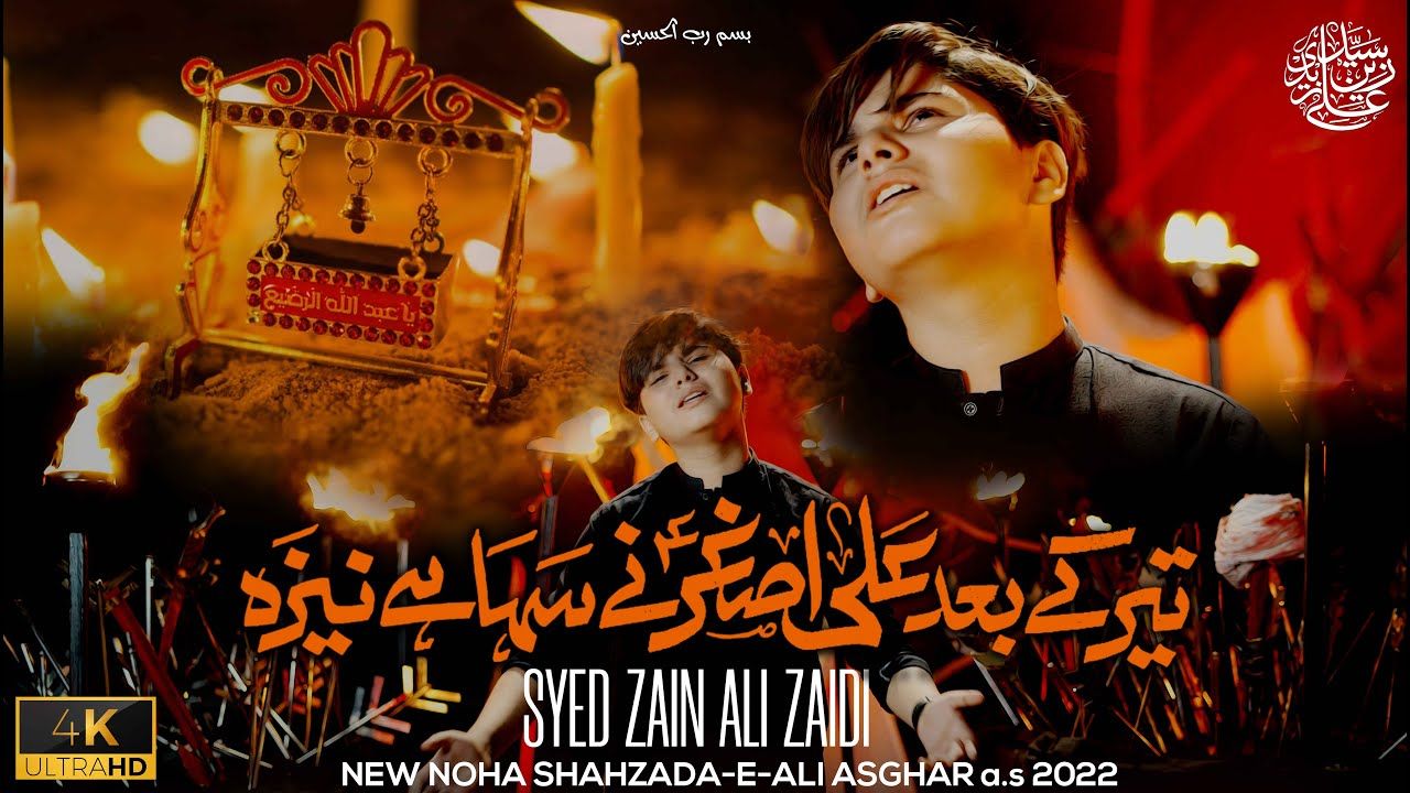 Nohay 2022 | Teer Ke Baad | Syed Zain Ali Zaidi | Ali Asghar Noha 2022 | Muharram Nohay 2022-1444