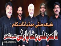 Nasir Ali Raza Party