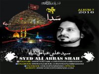 Syed Ali Abbas Shah