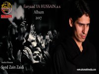 Syed Zain Zaidi
